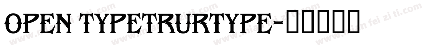 OPEN TYPETRURTYPE字体转换